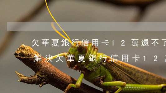 欠華夏銀行信用卡12萬還不了怎么辦，如何解決欠華夏銀行信用卡12萬無法償還的問題？